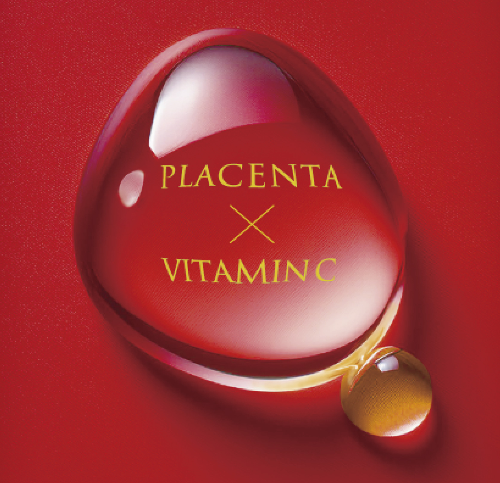 プラヴィダ イメージ